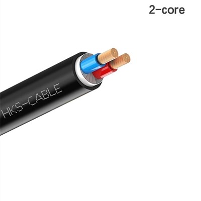 Double Core Cable