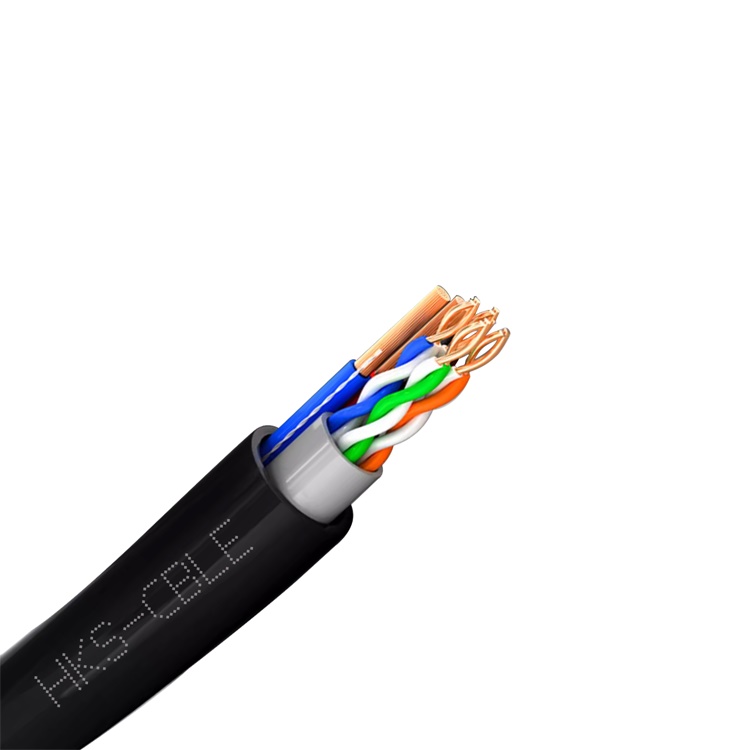 Cat6 with Power Cable