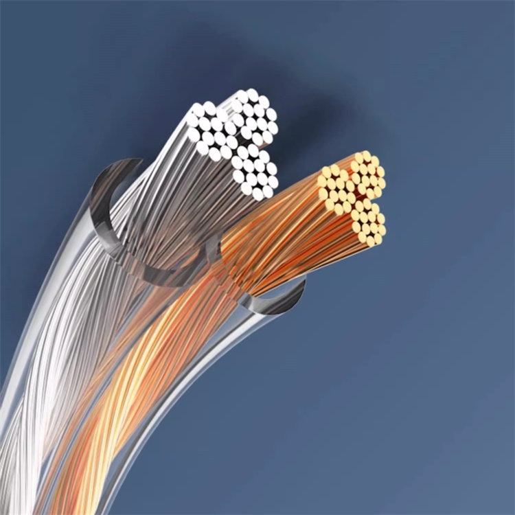 Gold and Silver Speaker Wire